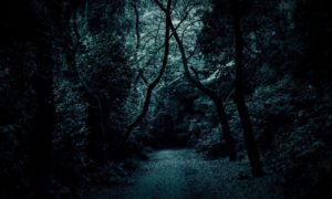 闇夜の森